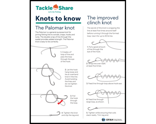 Knot Tying